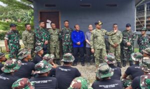 Panglima TNI