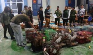 Gakkum wilayah sumatra