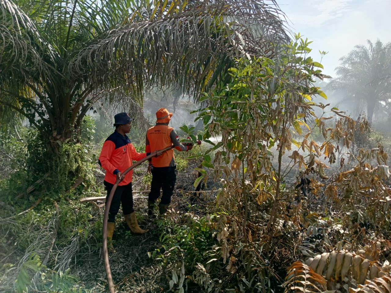 Perkembangan Situasi dan Penanganan Bencana di Tanah Air 6 Juni 2026