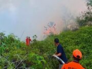 BNPB : Potensi Karhutla Perlu Diwaspadai di Berbagai Wilayah