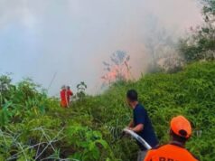 BNPB : Potensi Karhutla Perlu Diwaspadai di Berbagai Wilayah