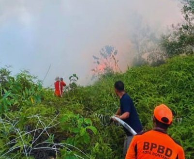 BNPB : Potensi Karhutla Perlu Diwaspadai di Berbagai Wilayah
