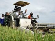 Bulog pastikan gabah petani terserap dengan baik