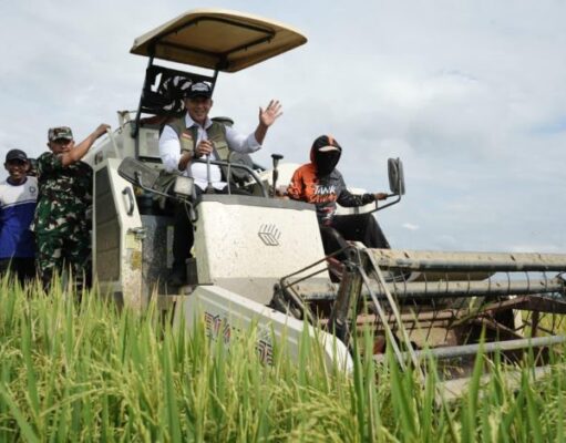 Bulog pastikan gabah petani terserap dengan baik