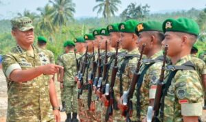 Wakil Panglima TNI