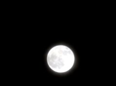 Fenomena Buck Moon