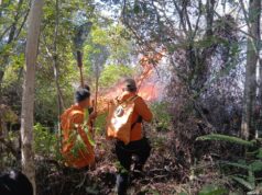 BNPB Imbau Pemda dan masyarakat Tingkatkan kewaspadaan Potensi bencana hidrometeorologi kering