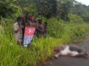 Tiga Warga Sipil jadi Korban Aksi Kekerasan OPM, Koops TNI Habema Perkuat Perlindungan Masyarakat