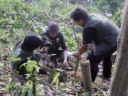 Kemenhut Siapkan Forest Heroes Muda Jaga Masa Depan Hutan