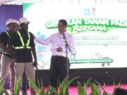 Pemerintah Percepat Pengembangan Papua Selatan Jadi Lumbung Pangan Nasional