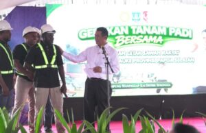 Pemerintah Percepat Pengembangan Papua Selatan Jadi Lumbung Pangan Nasional