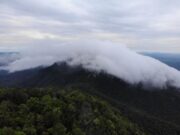Taman Nasional Gunung Maras Masuki Satu Dekade Perjalanan Konservasi