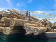 TNI AL Gagalkan Pengangkutan Kayu Log Ilegal di Perairan Teluk Berau