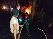 BNPB : Karhutla dan Kekeringan masih dominasi di berbagai wilayah selama Musim kemarau