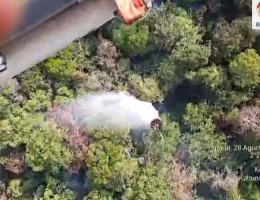 BNPB Perkuat Penanganan Karhutla di Teluk Bintuni