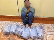 Bea Cukai Lhokseumawe dan Bareskrim Polri Tangkap Kurir Ganja di Nagan Raya, Aceh