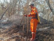 BNPB Imbau Masyarkat agar tidak melakukan aktivitas pembakaran di wilayah rawan terbakar