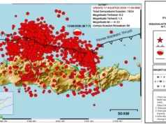 BMKG: 1624 Gempa Bumi Susulan Pasca-Tsunami Flores Masih Terjadi