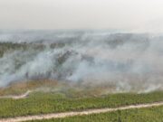 BNPB Strengthens Air Operations in Six Priority Forest and Land Fire Provinces