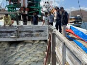 Bulog Pastikan Ketersediaan Beras dan Kelancaran Distribusi Pangan di NTT