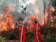 BNPB Perkuat Penanganan Karhutla Melalui Operasi Udara dan Darat