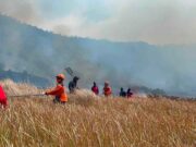 Karhutla di Kawasan Gunung Bromo, BNPB Kerahkan Dua Unit Helikopter Water Bombing