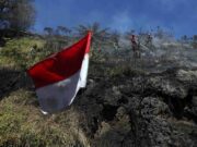 BNPB Perkuat Penanganan Karhutla TNBTS, 540 Personel Gabungan Dikerahkan
