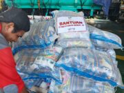 Gempa NTT, Kemensos Kirim Bantuan ke Pulau Palue