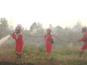 Kemenhut Sebut Hotspot Menurun di Beberapa Provinsi Berdasarkan data terbaru SiPongi