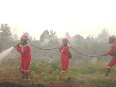 Kemenhut Sebut Hotspot Menurun di Beberapa Provinsi Berdasarkan data terbaru SiPongi