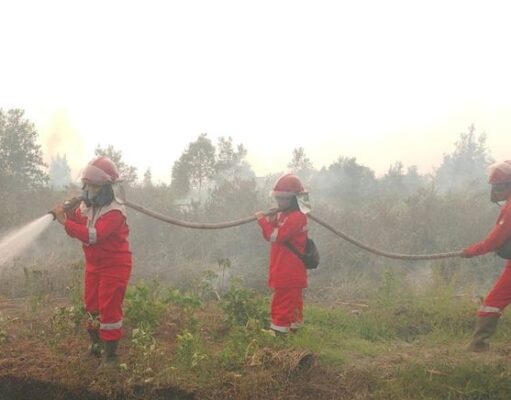 Kemenhut Sebut Hotspot Menurun di Beberapa Provinsi Berdasarkan data terbaru SiPongi