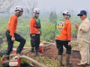 Presiden Prabowo Pastikan Penanganan Karhutla Berjalan Optimal