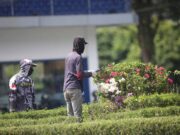 Pengangguran terbuka di Provinsi Aceh meningkat