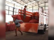 Empowering Village Economies, KDKMP in Nganjuk Buys Farmers’ Shallots Above Market Price