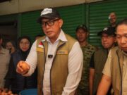 Jajaran Bulog Seluruh Indonesia Turun Serentak ke Pasar, Pastikan Pasokan dan Harga Beras Terkendali
