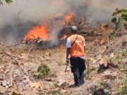 BNPB dan Pemda di Enam Provinsi Perkuat Pengendalian Karhutla