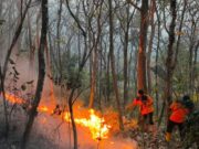 Hadapi Tantangan pemadaman Karhutla, BNPB: TIM Gabungan gunakan metode pompa jinjing dan jet shooter