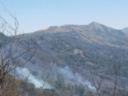 Kemenhut Siaga Penuh Atasi Kebakaran di Kawasan Bromo