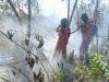 Kemenhut sebut Hotspot Nasional Turun 362 Titik, Pengendalian Karhutla Terus Diperkuat