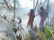 Kemenhut sebut Hotspot Nasional Turun 362 Titik, Pengendalian Karhutla Terus Diperkuat