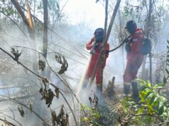 Kemenhut sebut Hotspot Nasional Turun 362 Titik, Pengendalian Karhutla Terus Diperkuat