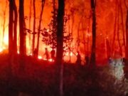 BNPB Imbau masyarakat laporkan ke petugas setempat apabila temukan titik api