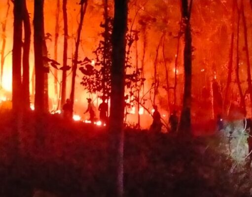 BNPB Imbau masyarakat laporkan ke petugas setempat apabila temukan titik api