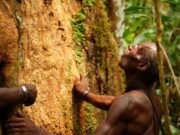 Kemenhut Percepat Penetapan Hutan Adat di Kabupaten Sorong